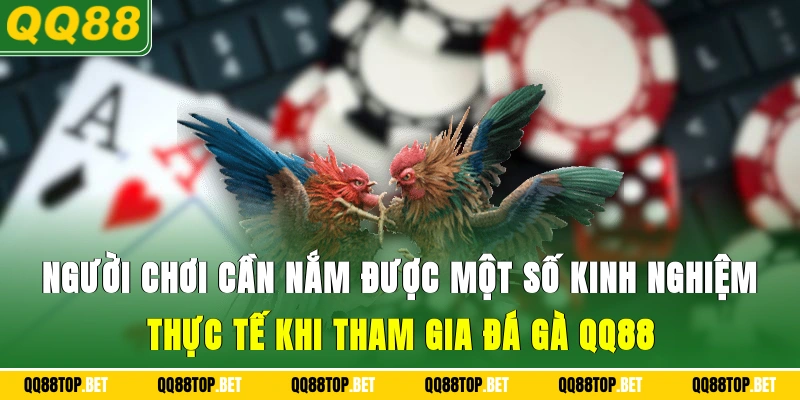Người chơi cần nắm được một số kinh nghiệm thực tế khi tham gia đá gà QQ88