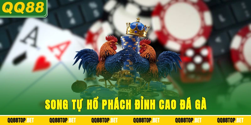 Song tự hổ phách đỉnh cao đá gà
