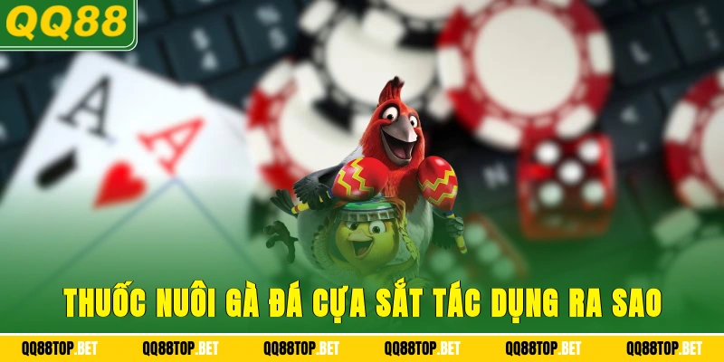 Thuốc nuôi gà đá cựa sắt tác dụng ra sao